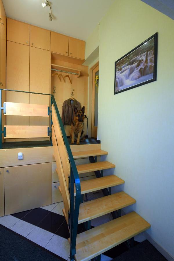 Ferienappartement Regina Schrems  Luaran gambar